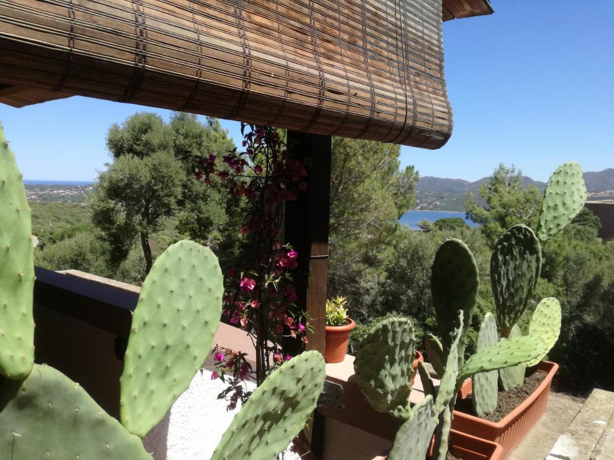 Lucianasit Apartment Cugnana Verde Екстериор снимка